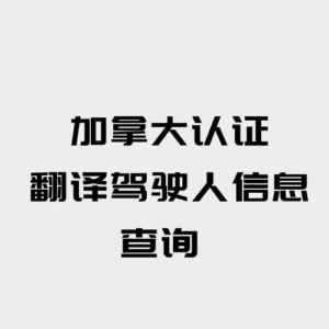 加拿大认证 翻译驾驶人信息查询